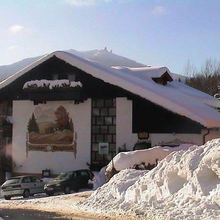 Pension Bergblick Bayerisch Eisenstein Exteriér fotografie