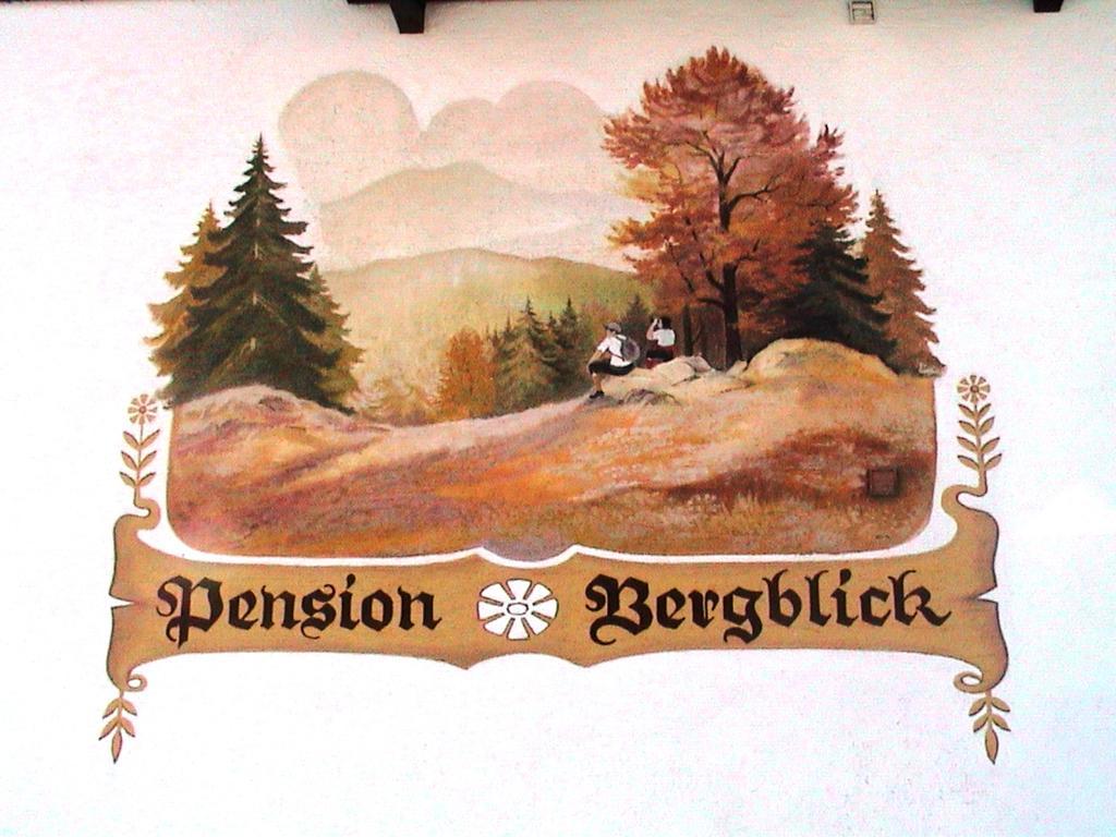 Pension Bergblick Bayerisch Eisenstein Exteriér fotografie